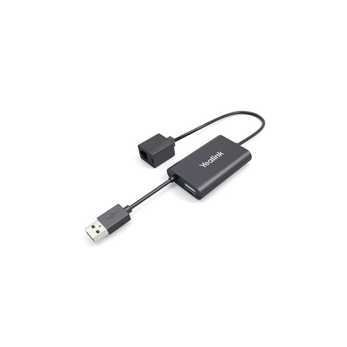 Analogue to IP converter